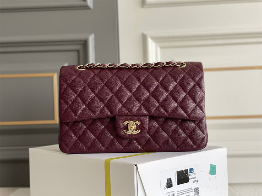 Chanel classic flap 25cm 2025 new 